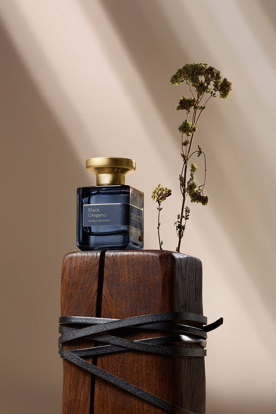 【2025年11月1日発売】BLACK OREGANO 50ml