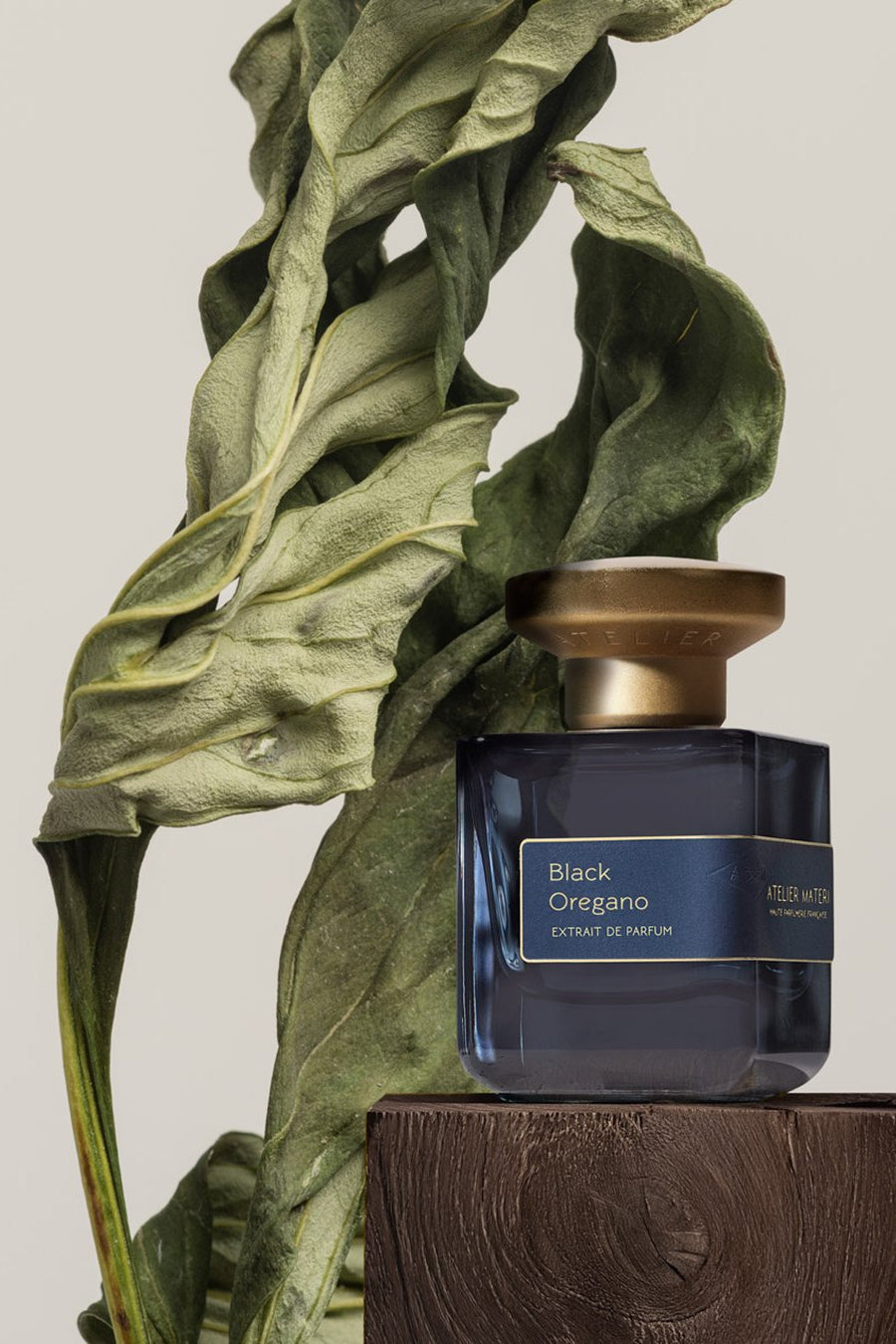 【2025年11月1日発売】BLACK OREGANO 50ml