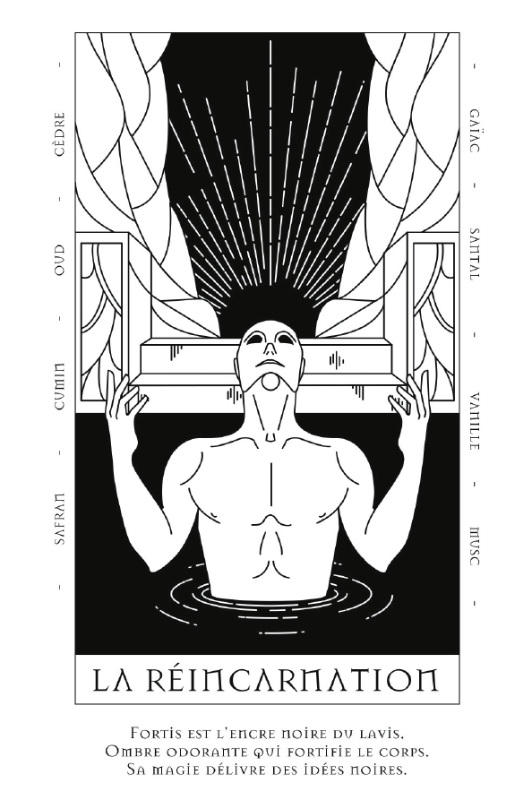 Eau de Parfum - Fortis