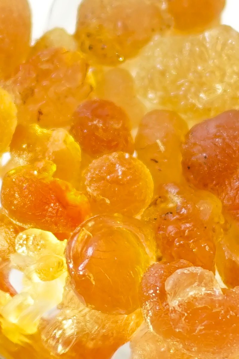 MAD et LEN - Pot Pourri d'Apothicaire VEGETAL AMBER - GRAPHITE