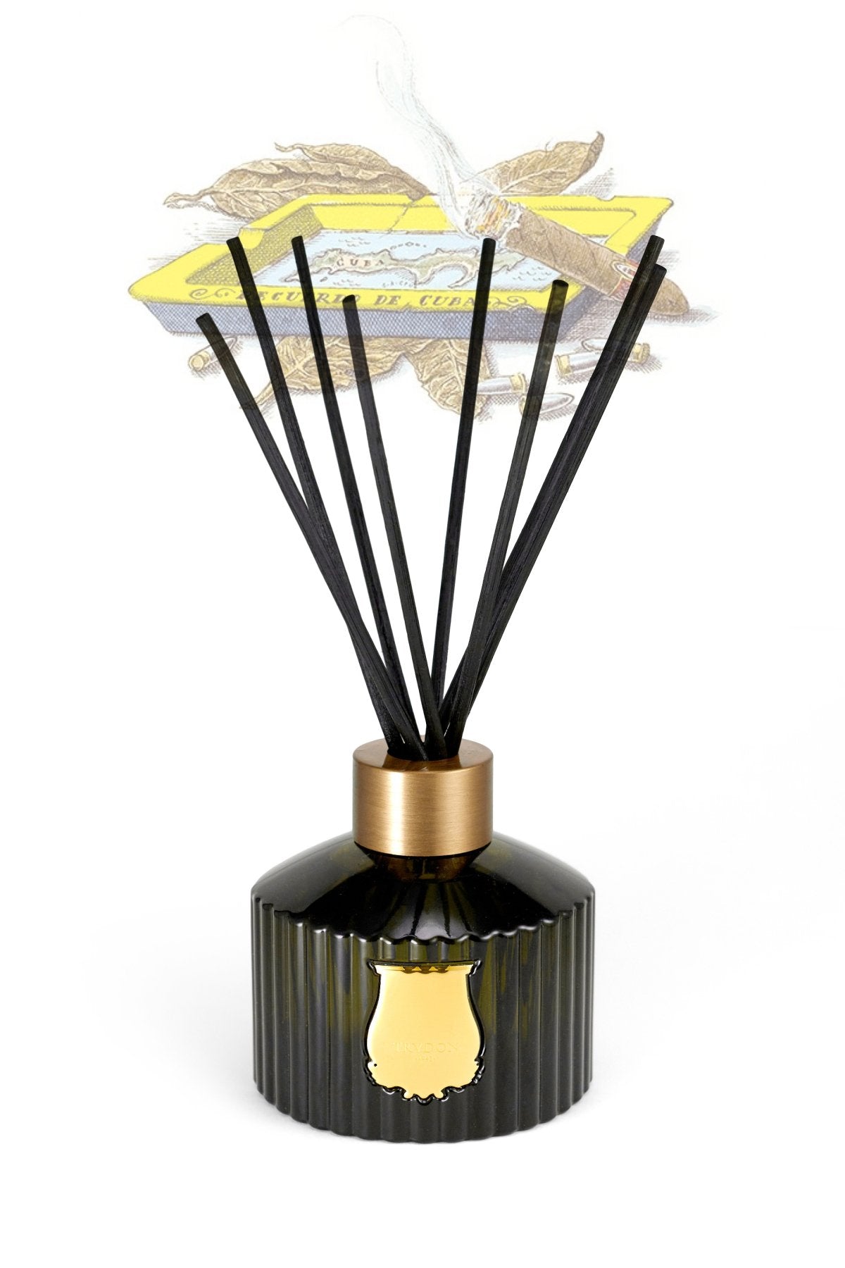 The Diffuser - Ernesto