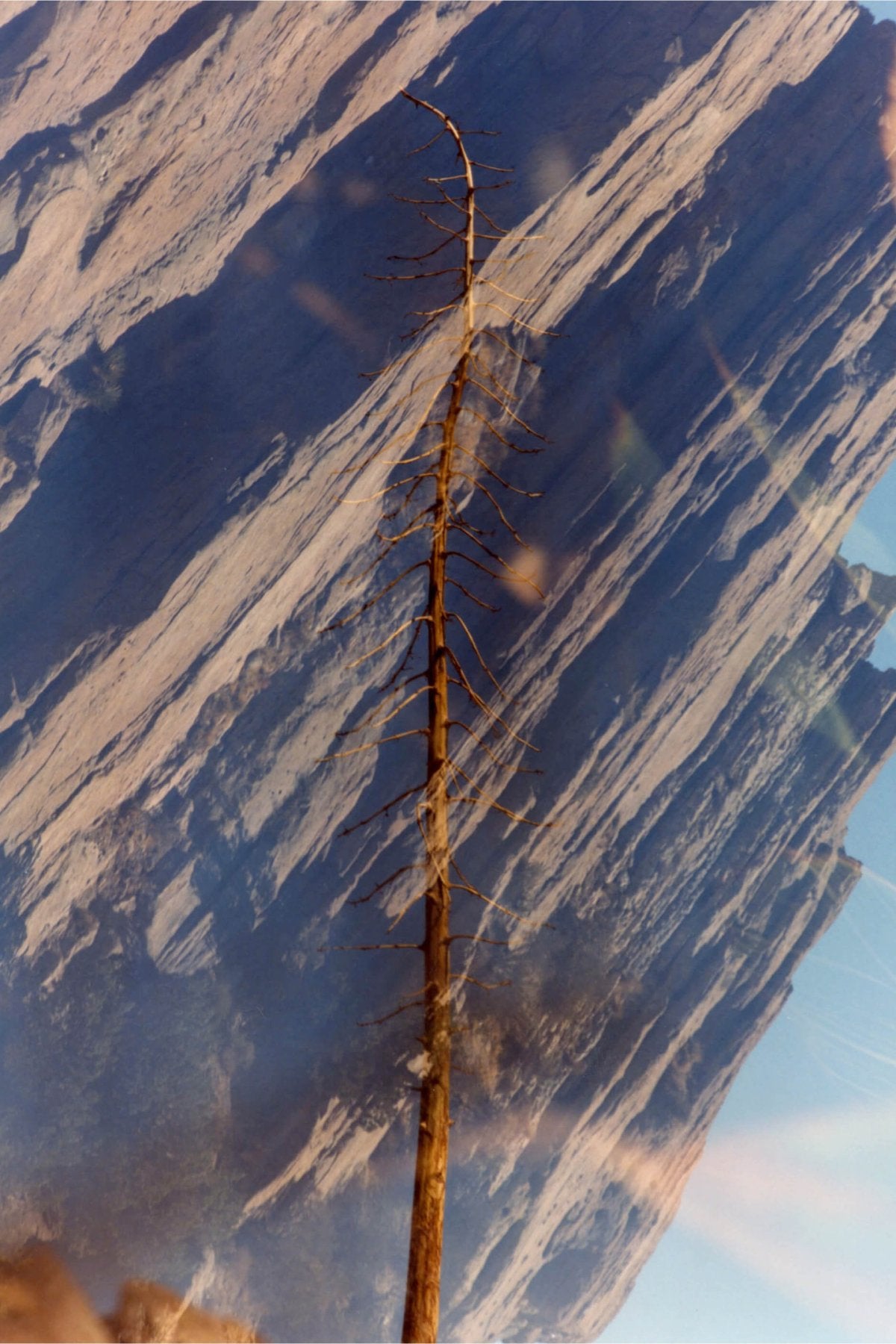 Vyrao - High Five Set - 7.5ml x 5