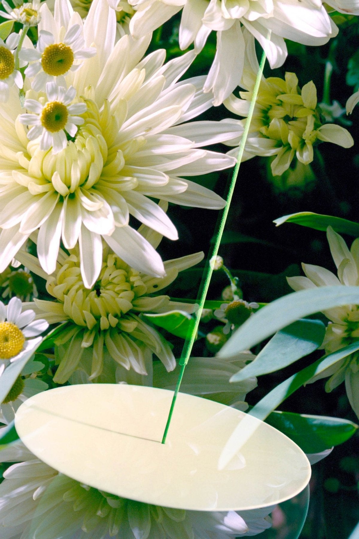 Verdant - Incense for Transformation and Illumination