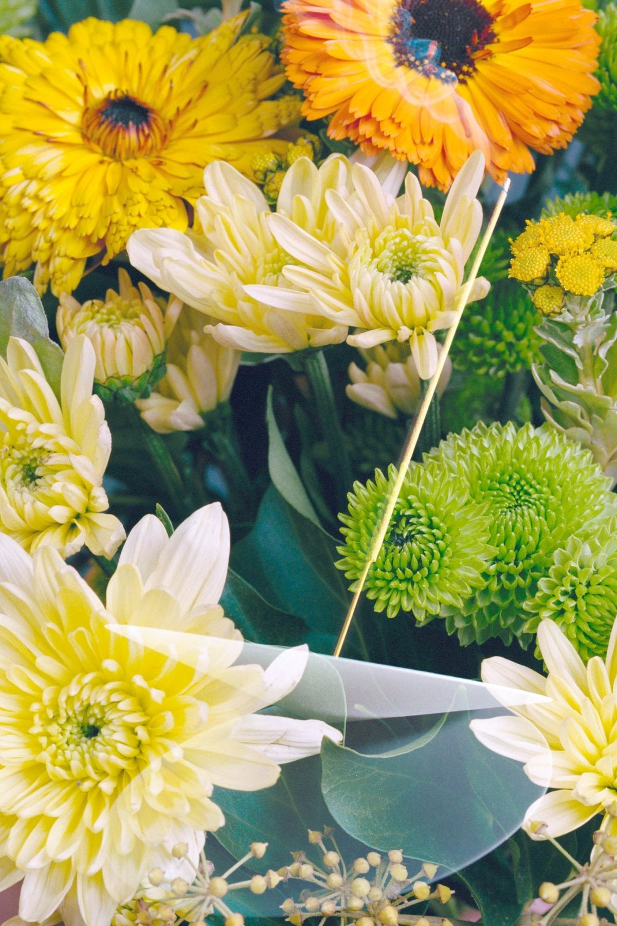 Ember - Incense for Expel & Expand