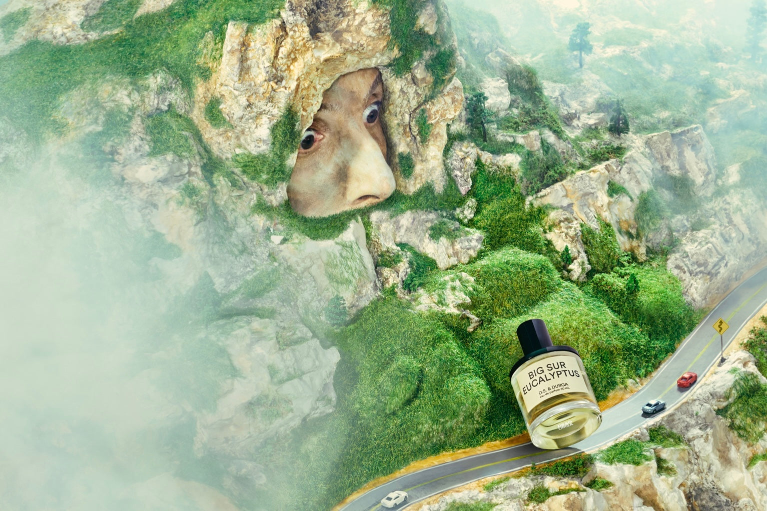 D.S.&DURGA最新作｜Big Sur Eucalyptus発売