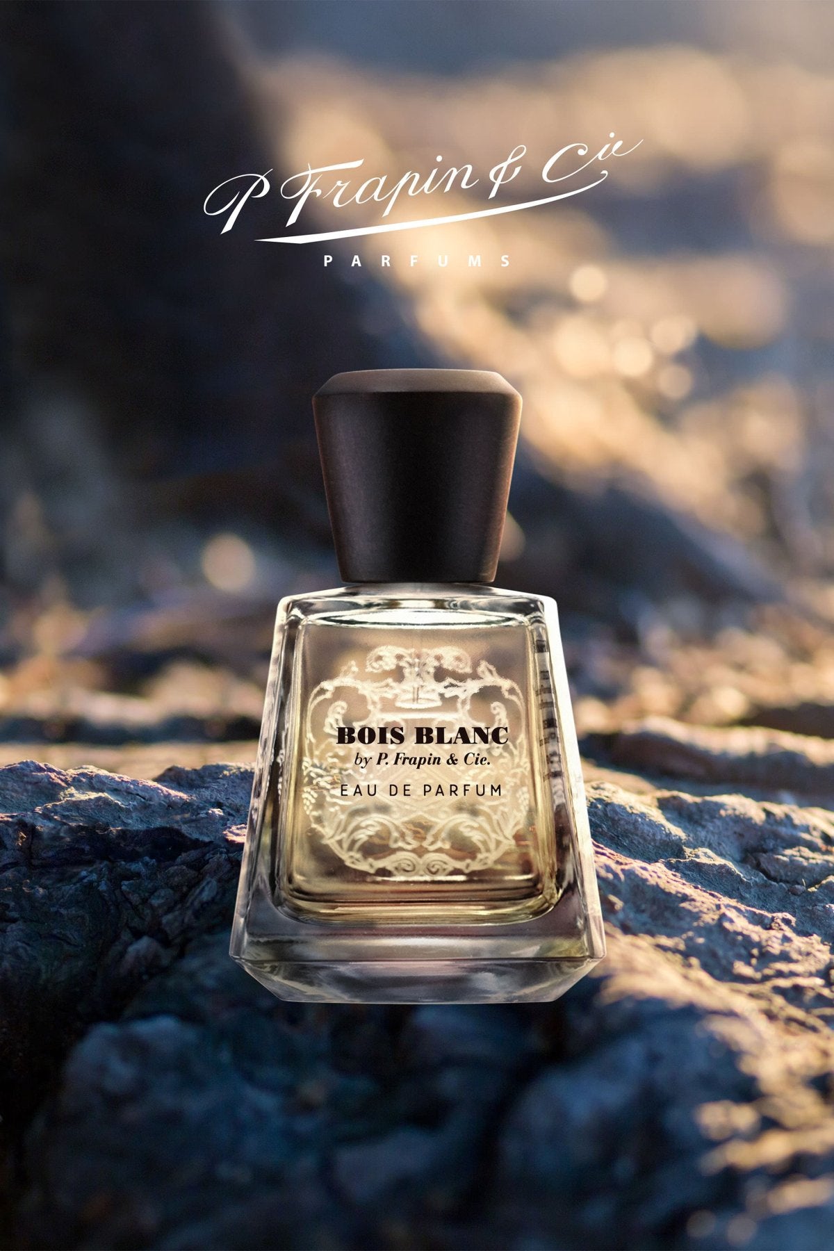 Bois Blanc - 100ml