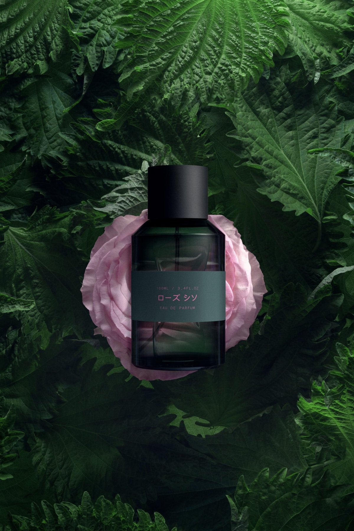 MARIE JEANNE - EAU DE PARFUMS - Rose Shiso