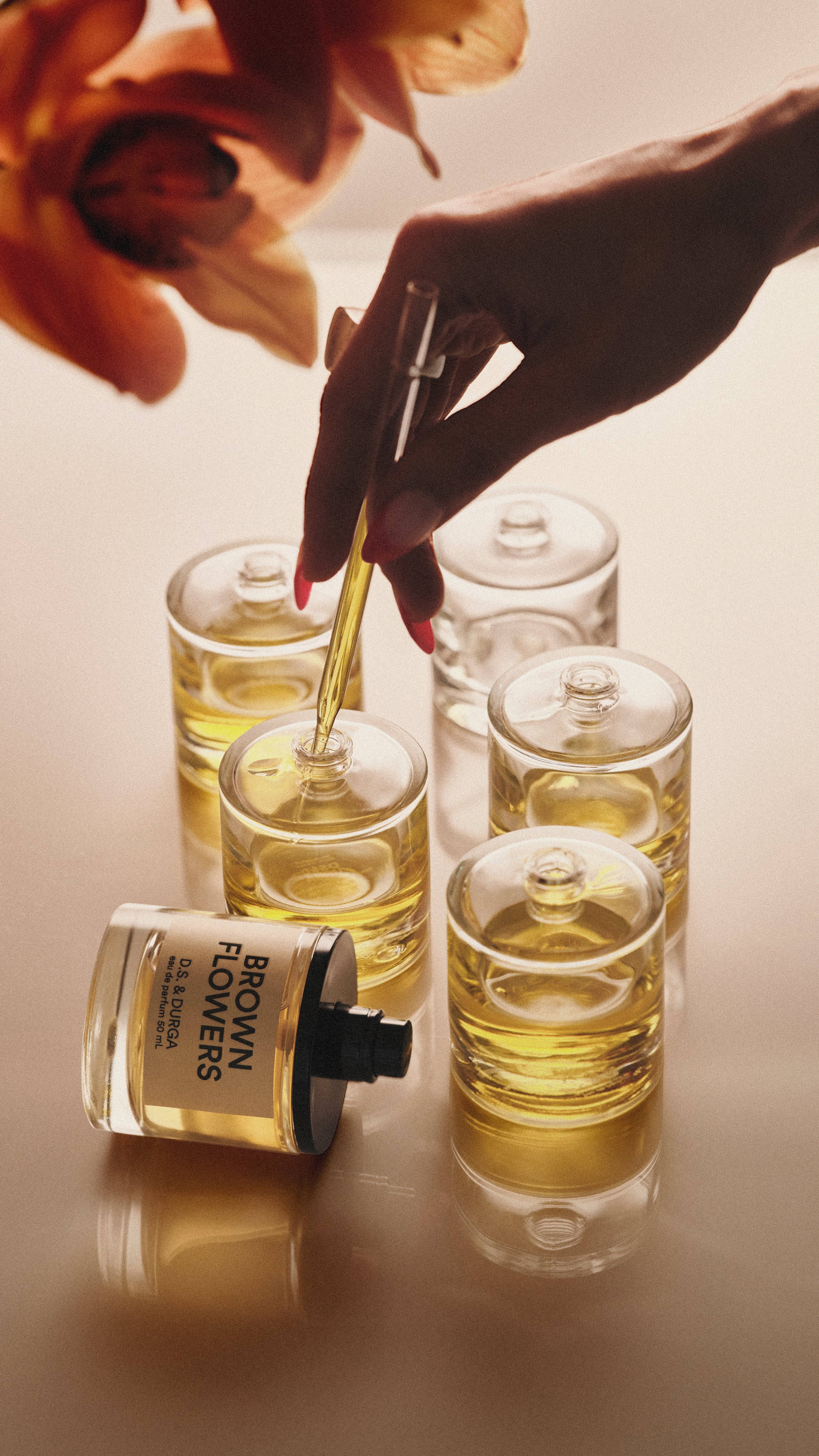 【2025年11月14日発売】BROWN FLOWERS