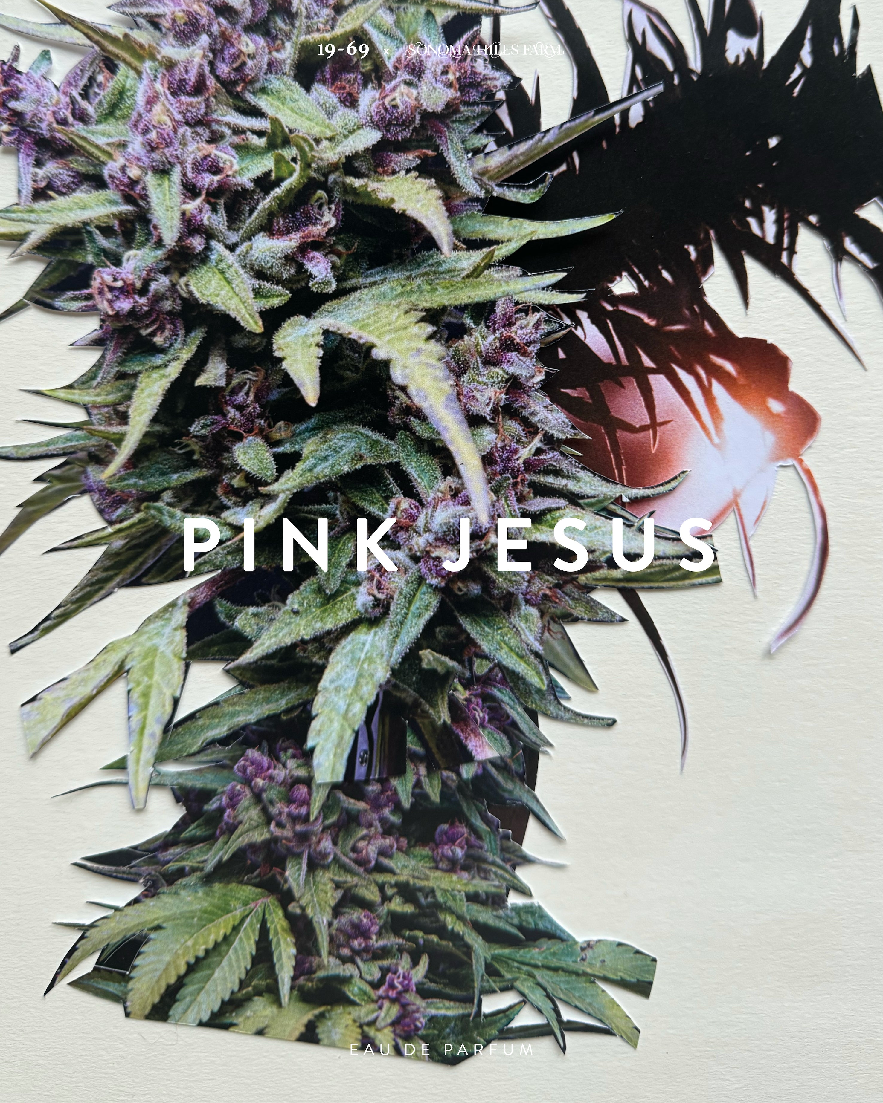 PINK JESUS - 100ml