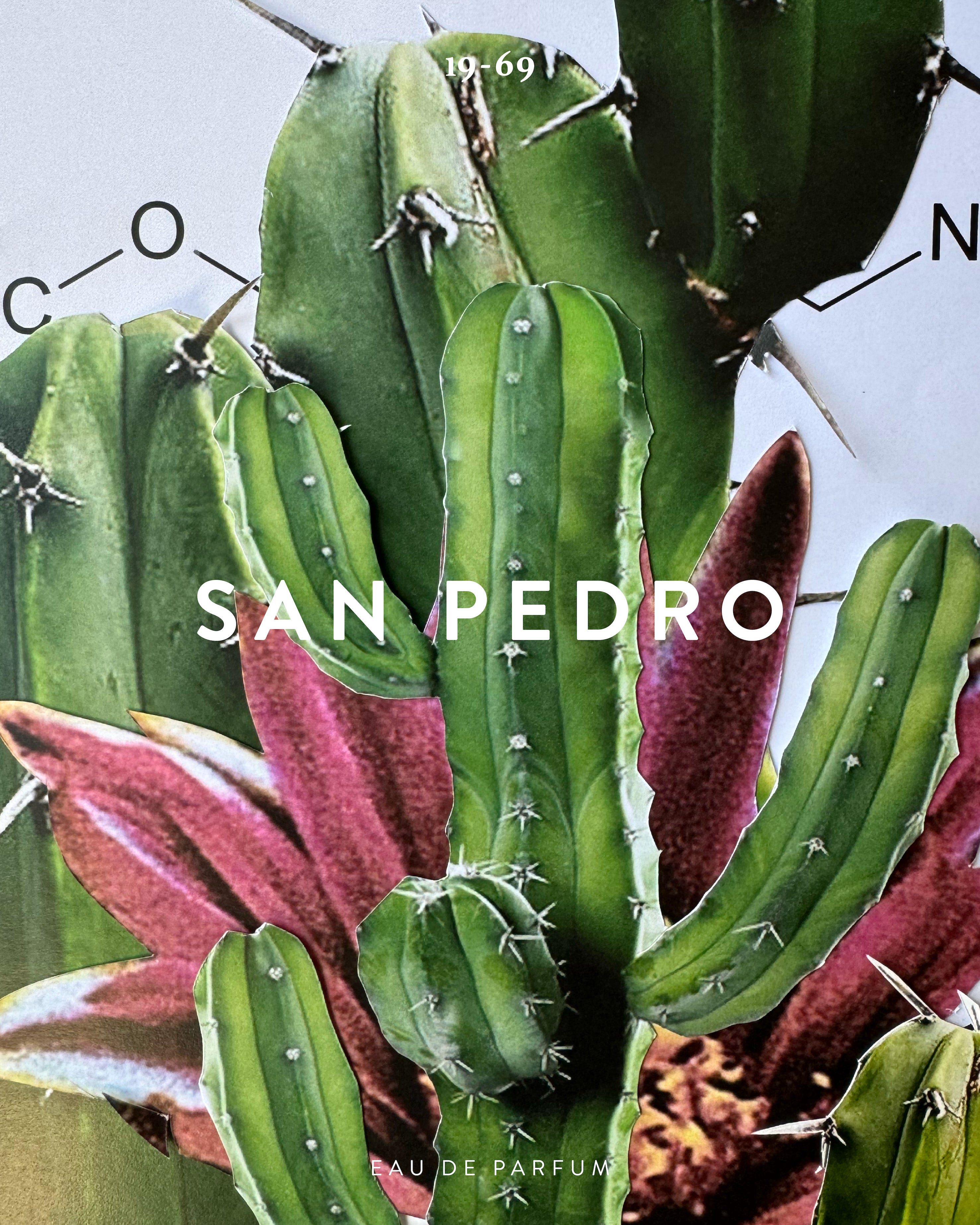 SAN PEDRO - 100ml