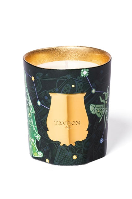 HOLIDAY COLLECTION 2025 - FIR