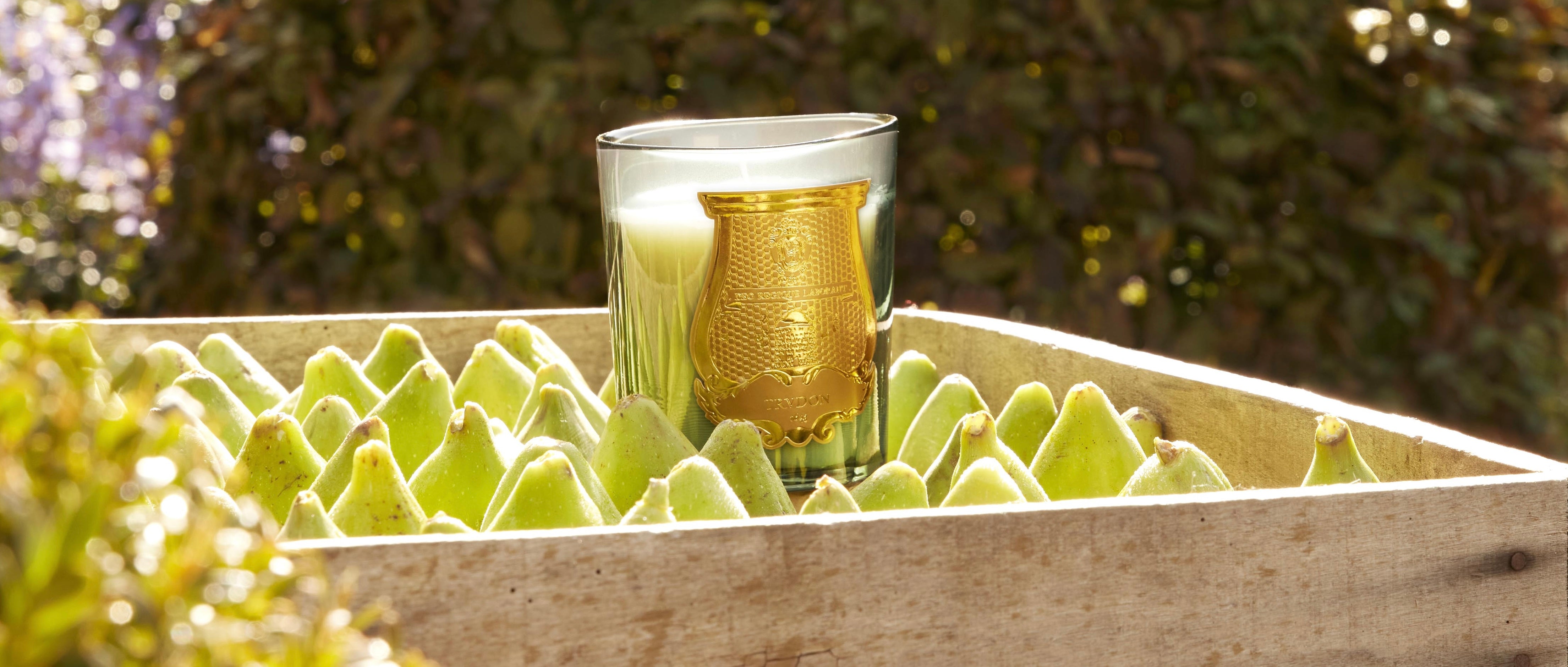 【リマ】FIGUIER(フィギエ) クラシックキャンドル Classic Scented Candle - FIGUERIE